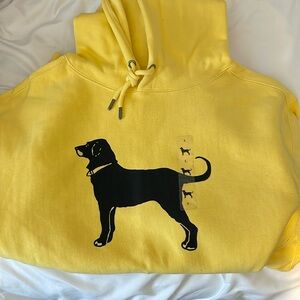 Men’s Classic Heavyweight Hoodie - Yarrow Yellow